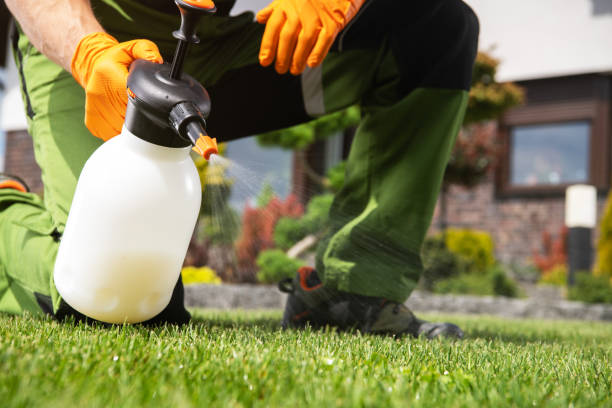 Pest Control for Restaurants in Iyanbito, NM