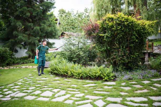Best Best Pest Control Companies  in Iyanbito, NM
