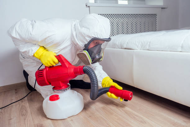 Best Pest Control for Restaurants  in Iyanbito, NM