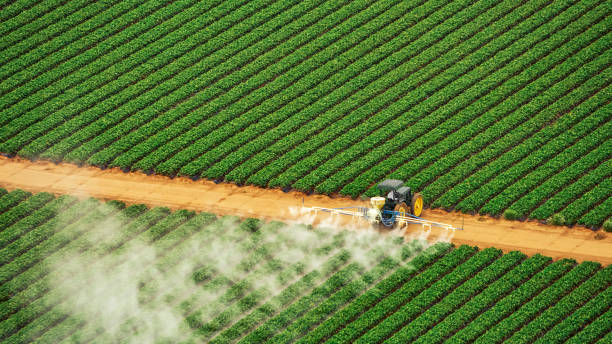 Best Pest Inspection Near Me  in Iyanbito, NM