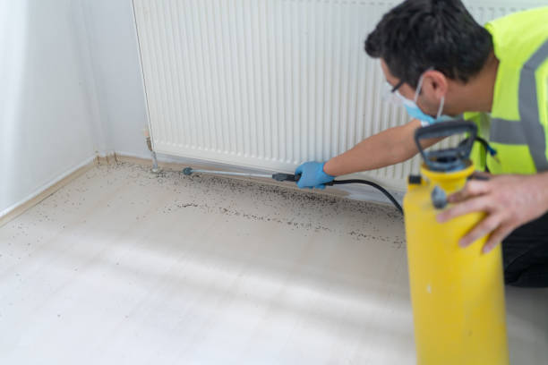 Best Commercial Pest Control Services  in Iyanbito, NM