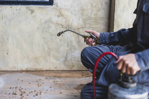 Best Pest Inspection Near Me  in Iyanbito, NM