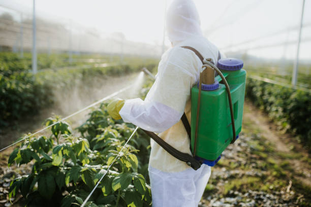 Best Wildlife Control Services  in Iyanbito, NM